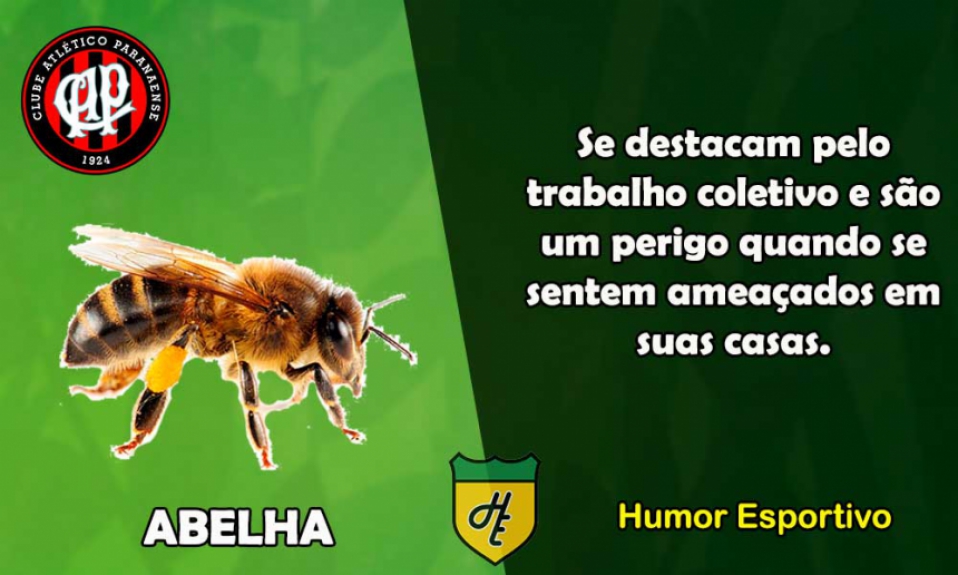 7º) Atlético-PR / Abelha