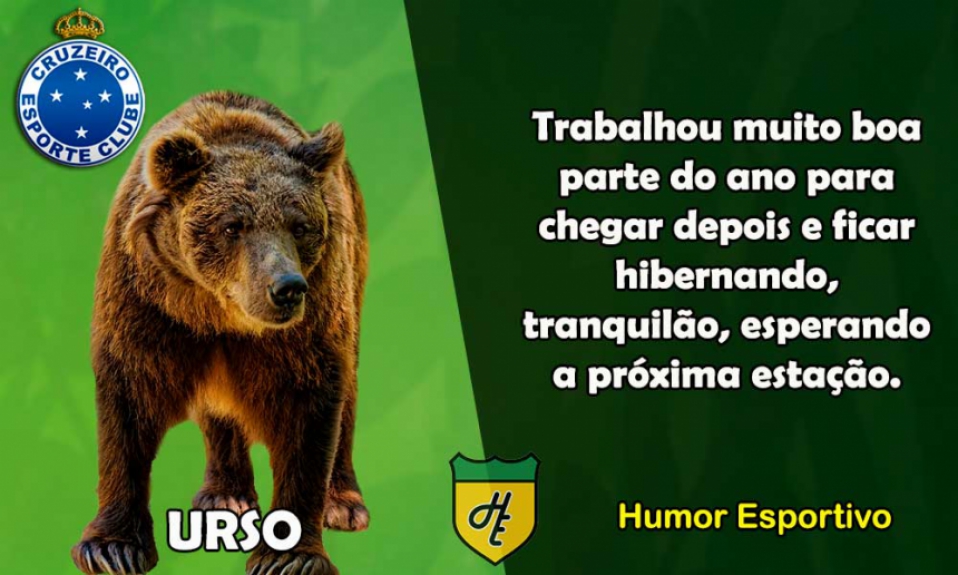 8º) Cruzeiro / Urso
