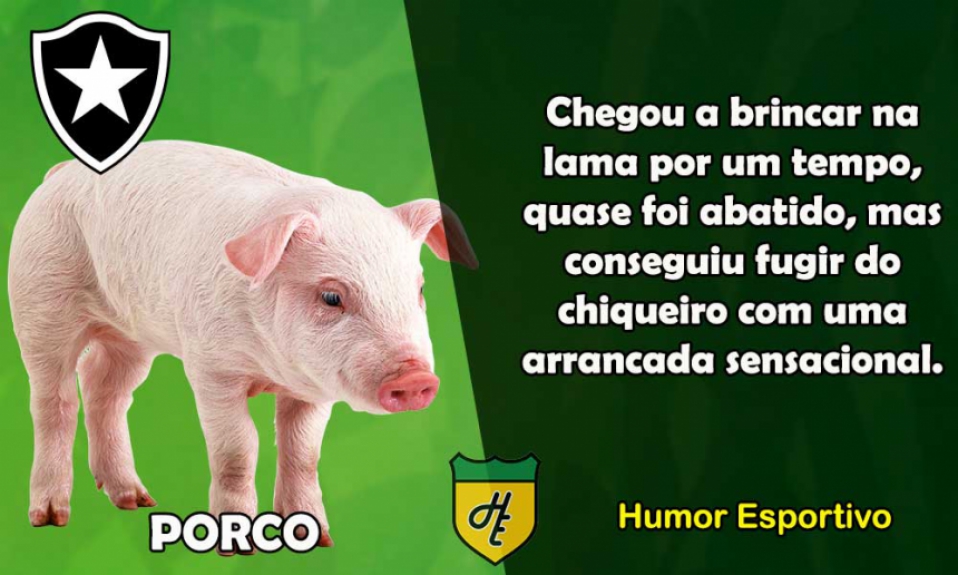 9º) Botafogo / Porco