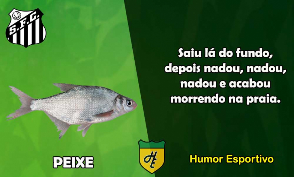 10º) Santos / Peixe
