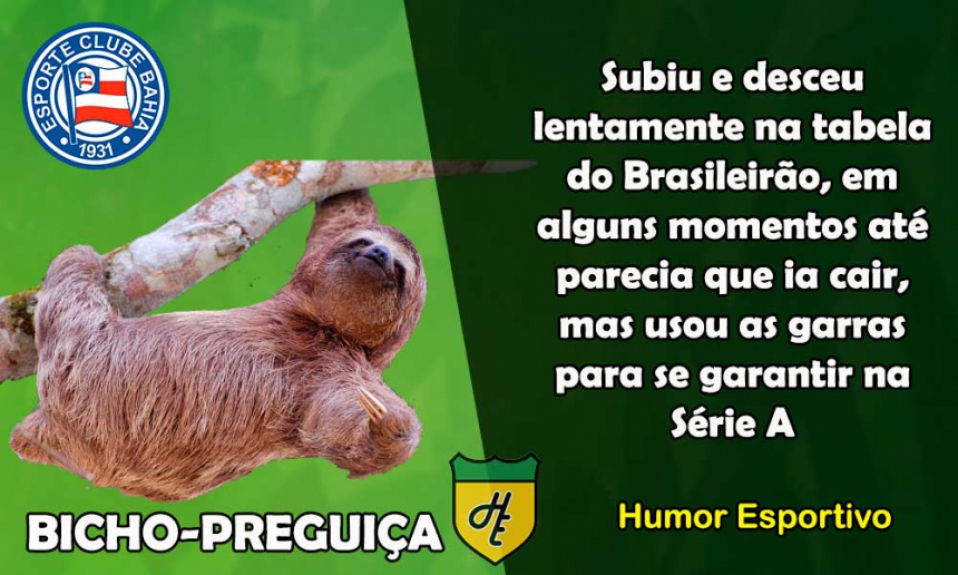 11º) Bahia / Bicho-Preguiça