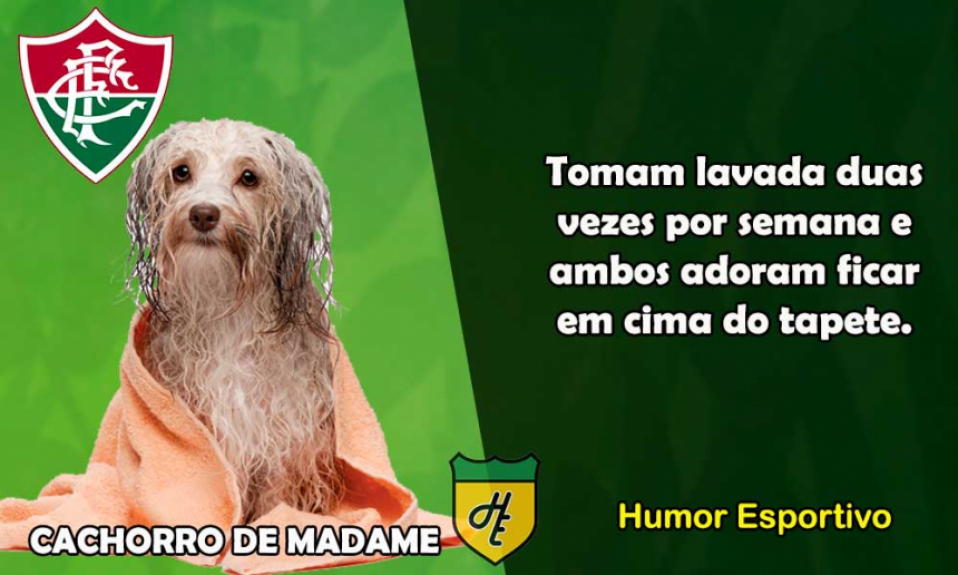 12º) Fluminense / Cachorro de Madame