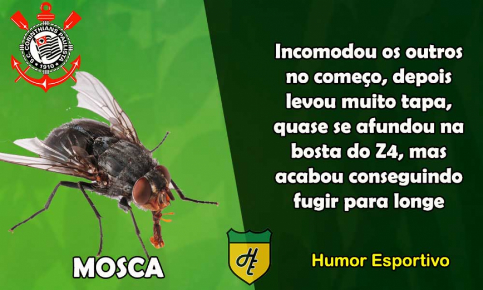 13º) Corinthians / Mosca
