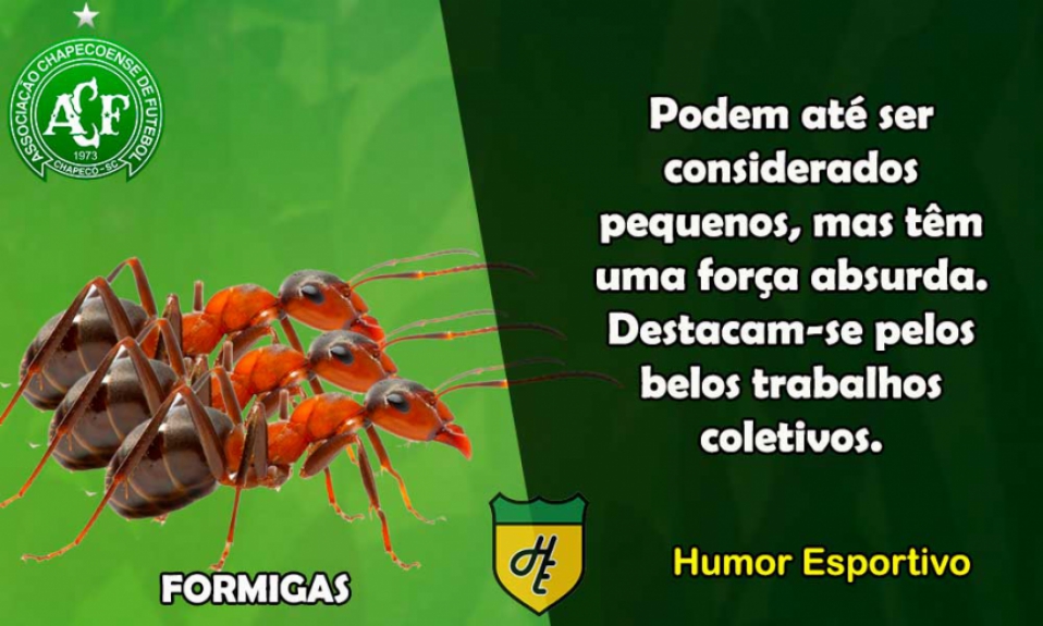 14º) Chapecoense / Formiga