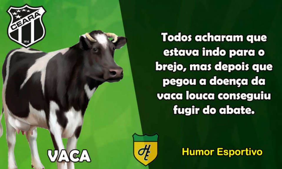 15º) Ceará / Vaca