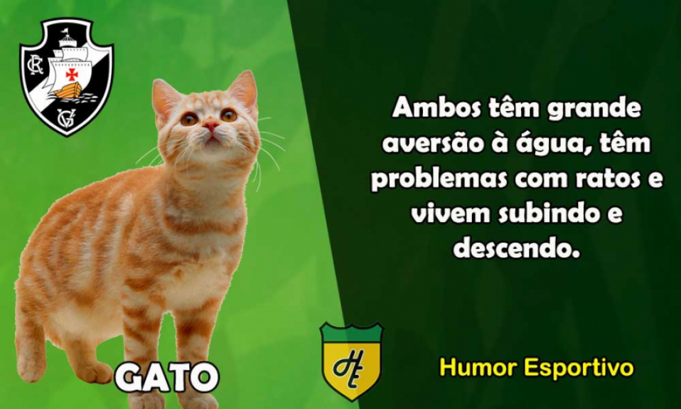 16º) Vasco / Gato