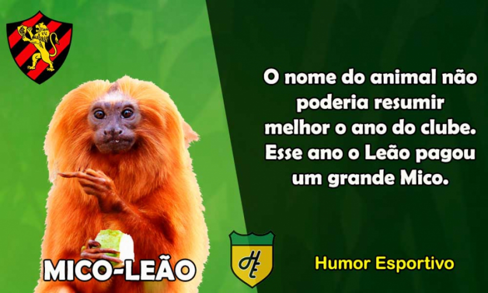 17º) Sport / Mico-Leão