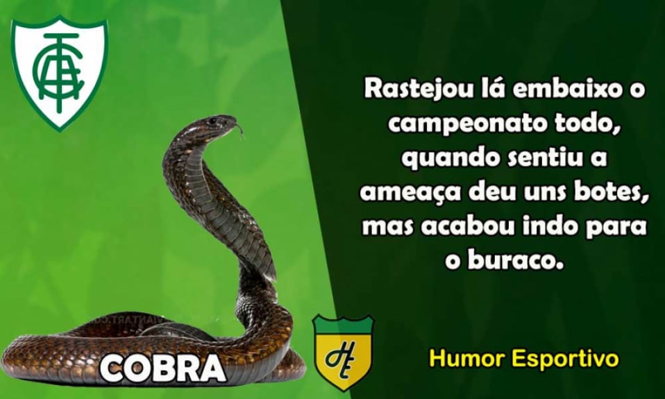 18º) América-MG / Cobra