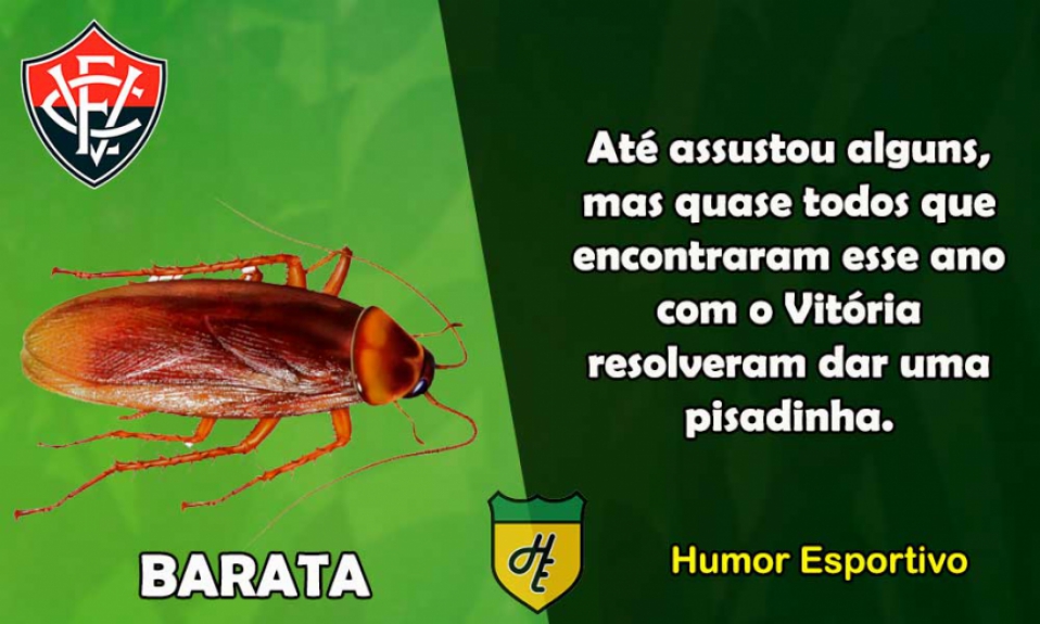 19º) Vitória / Barata