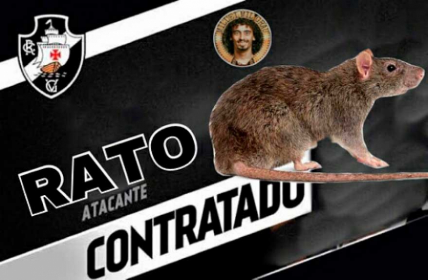 Em julho, um rato invadiu o gramado de São Januário durante a partida contra o Bahia