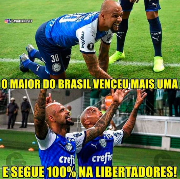 Torcedores do Palmeiras mostram empolgação após início na Libertadores
