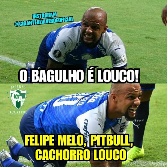 Torcedores do Palmeiras mostram empolgação após início na Libertadores