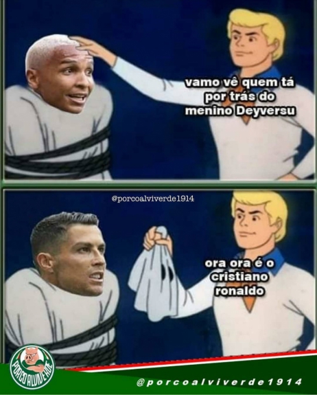 Torcedores do Palmeiras mostram empolgação após início na Libertadores