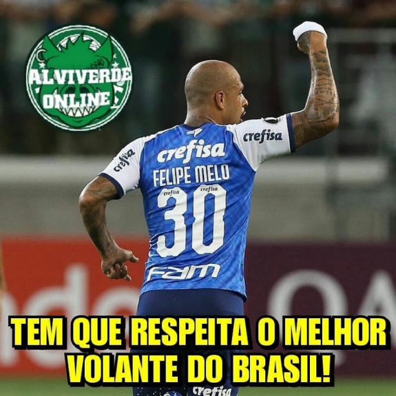 Torcedores do Palmeiras mostram empolgação após início na Libertadores