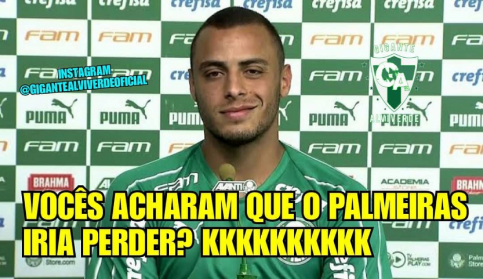 Memes: Novorizontino 1 x 1 Palmeiras