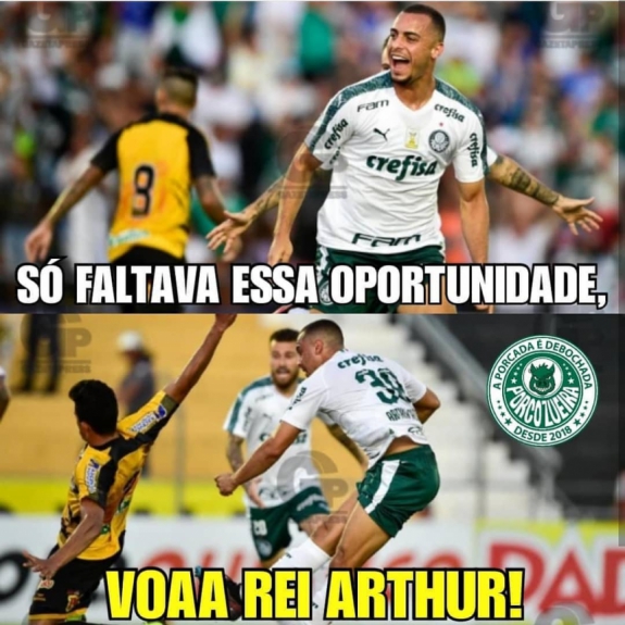 Memes: Novorizontino 1 x 1 Palmeiras
