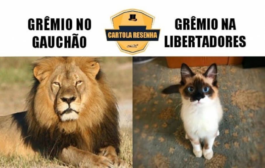 Os memes da derrota do Grêmio para o Universidad Católica