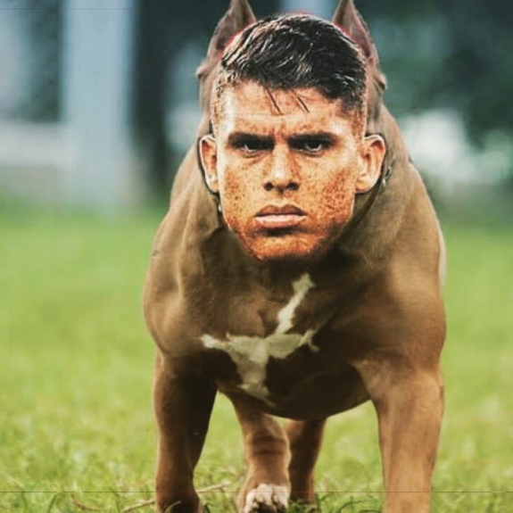 Libertadores: os memes de Peñarol 0 x 0 Flamengo