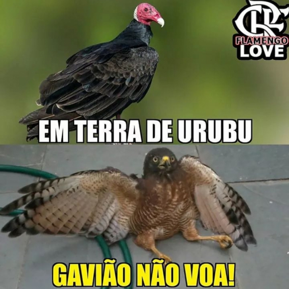 Copa do Brasil: os memes de Corinthians 0 x 1 Flamengo