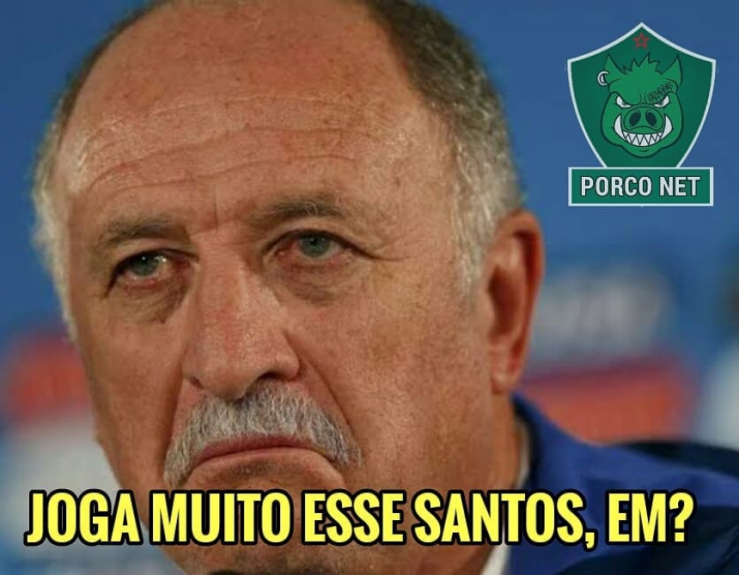Brasileirão: os memes de Palmeiras 4 x 0 Santos