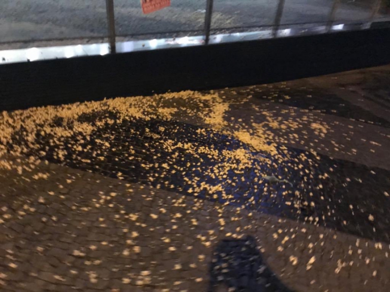 Torcedores do Atlético-MG fizeram cartazes com críticas a jogadores e dirigentes, além de jogarem pipocas na frente da sede do Galo (12/04/19)