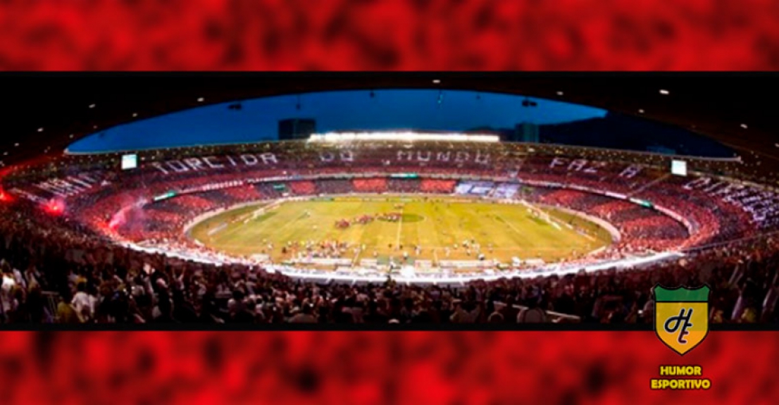 Mosaico do Flamengo: 'A maior torcida do mundo faz a diferença' - Flamengo x Goiás (22/11/2009)