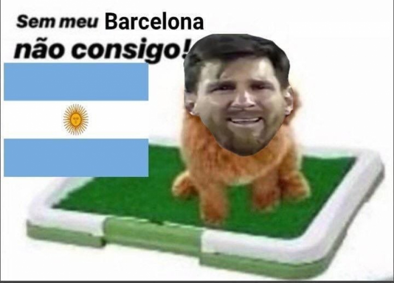 Copa América: os memes de Brasil 2 x 0 Argentina