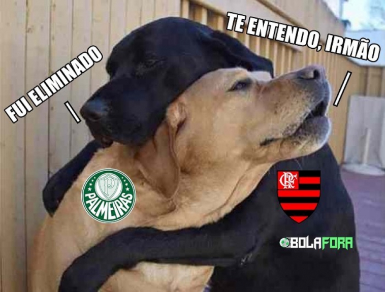 MEMES: o adeus de Palmeiras e Flamengo na Copa do Brasil