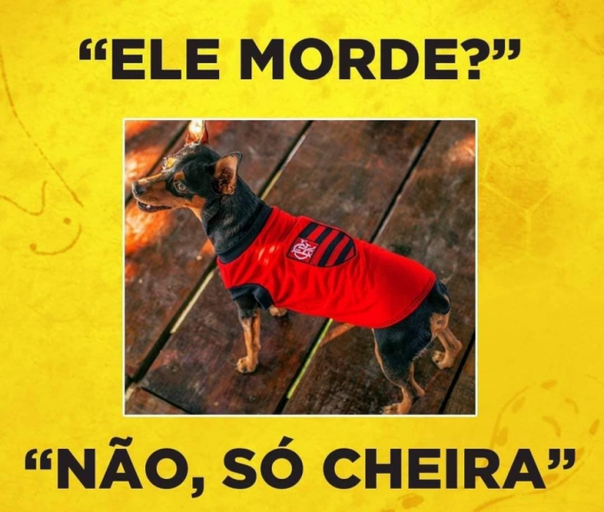 Flamengo vira piada após derrota pela Libertadores
