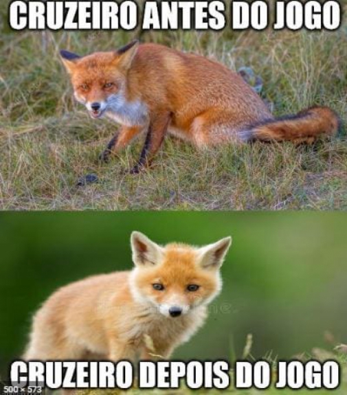 Copa do Brasil: os memes de Cruzeiro 0 x 1 Internacional