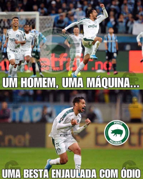 Libertadores: os memes de Grêmio 0 x 1 Palmeiras