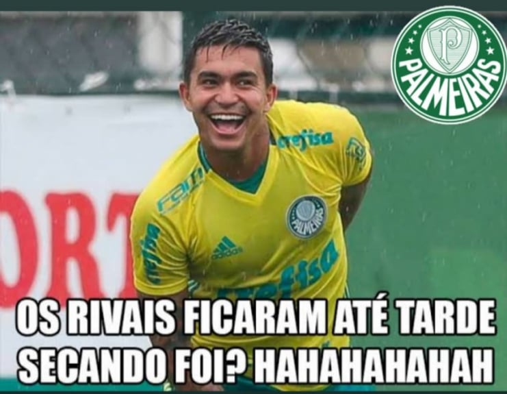 Libertadores: os memes de Grêmio 0 x 1 Palmeiras