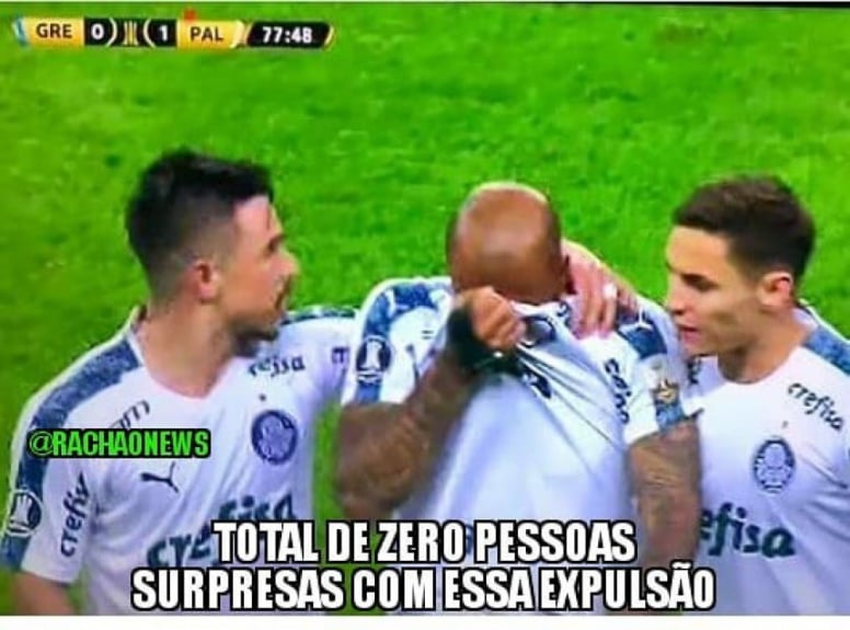Veja Os Memes Da Vitoria Do Palmeiras Sobre O Gremio Pela Libertadores Lance
