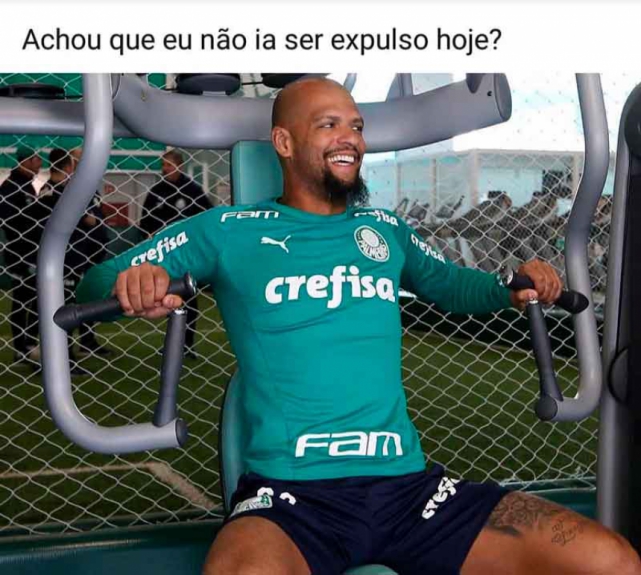 Libertadores: os memes de Grêmio 0 x 1 Palmeiras