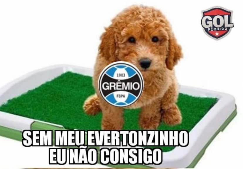Copa do Brasil: os memes da eliminação do Grêmio para o Furacão