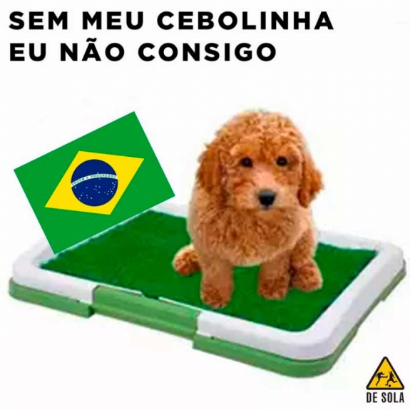 Os memes de Brasil 0 x 1 Peru