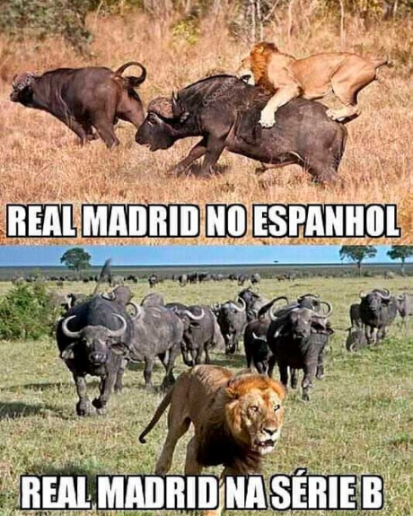 Declaração de Carlos Alberto vira piada e inspira memes com Real Madrid