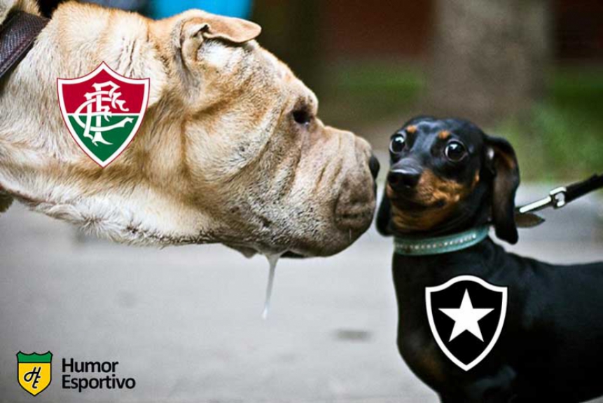Brasileirão: os memes de Botafogo 0 x 1 Fluminense