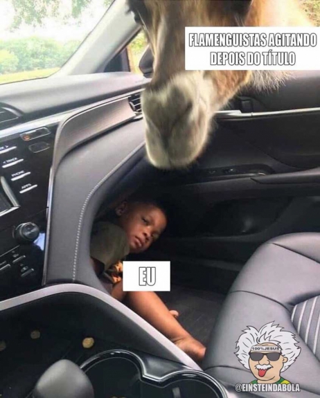 Os memes do título do Flamengo na Libertadores