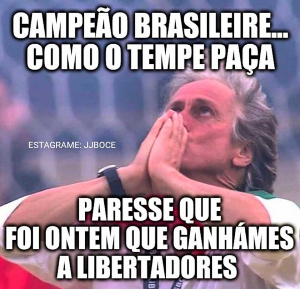 Os memes do título do Brasileirão do Flamengo