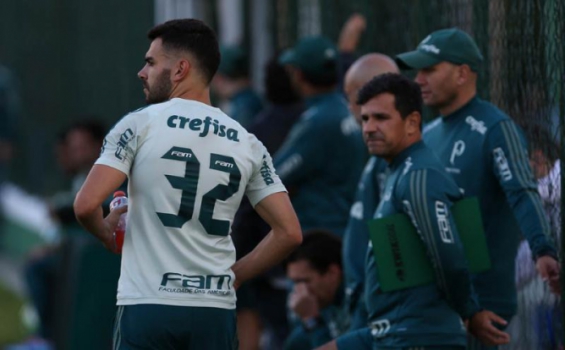 camisa 19 palmeiras