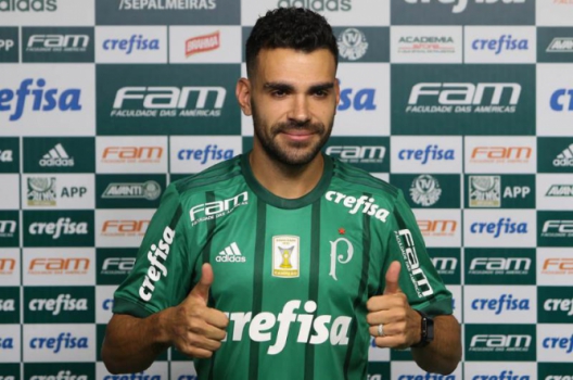 camisa 19 palmeiras