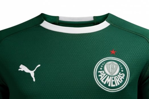 fotos da nova camisa do palmeiras da puma