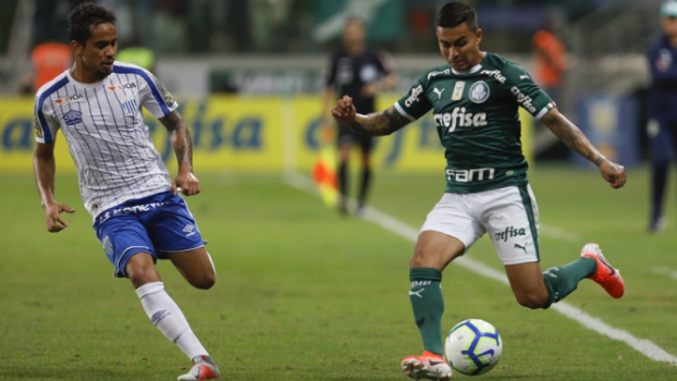 Palmeiras carrega invencibilidade como mandante contra o Avaí; relembre resultados
