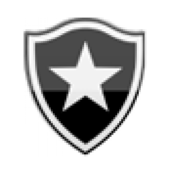 Botafogo perde para o CRB e segue sem vencer fora de casa na Série B - Vimarsana News