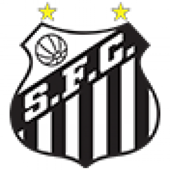 Palmeiras faz bom primeiro tempo, Santos esboça reação, mas acaba derrotado no Brasileirão - Vimarsana News