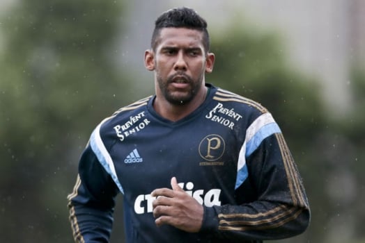 O goleiro Aranha rescindiu com o Santos para acertar com o Palmeiras, em 2015. Pouco jogou, passou seis meses sem clube em 2016, quando seu contrato acabou, e defendeu Joinville, Ponte Preta e Avaí até se aposentar, em 2018, com 38 anos.