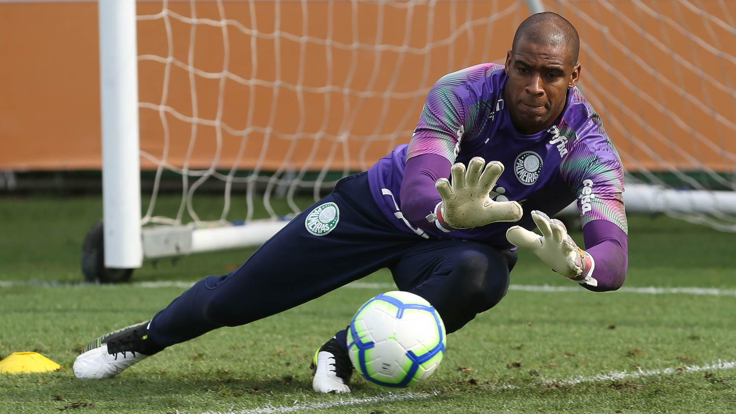 O goleiro Jailson também tem contrato com o Palmeiras até dezembro de 2021.