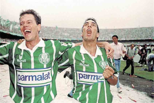 O terceiro título de 93 foi o Campeonato Brasileiro. Ainda no sistema de mata-mata, o Palmeiras derrotou o Vitória na final, em duas partidas (1 a 0 e 2 a 0).