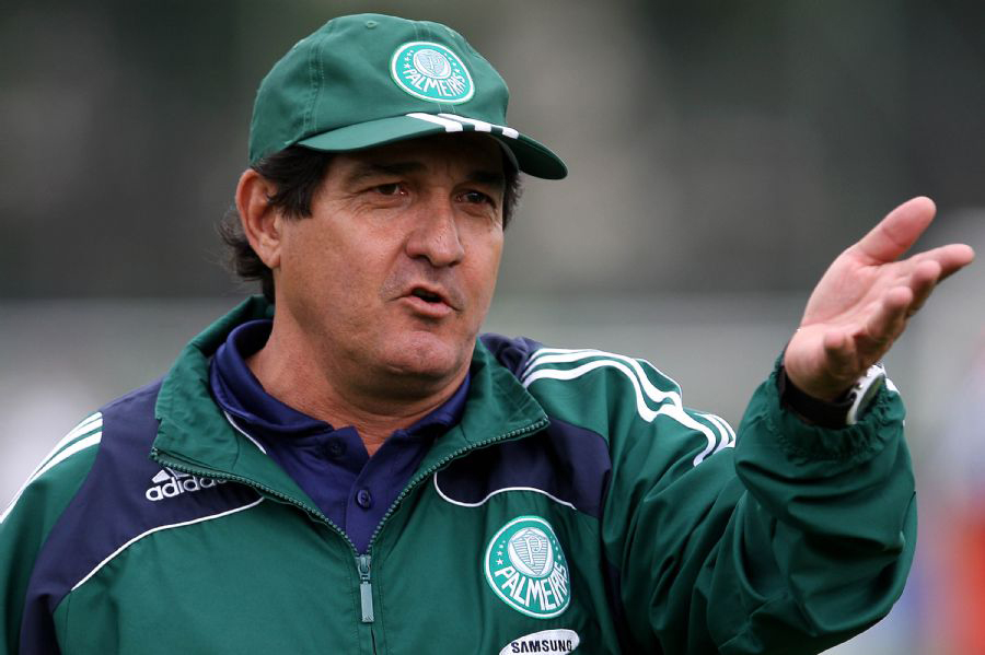 O Palmeiras fez tudo certo para terminar campeão: montou um bom elenco, se reforçou, resistiu ao assédio do mercado internacional e ainda contratou o treinador campeão dos últimos três títulos brasileiros em sequência, Muricy Ramalho. Ainda assim, o Verdão conseguiu perder esse título depois de liderar a competição por 17 rodadas. Com uma série de tropeços, o Verdão deixou acabou perdendo o título para o Flamengo, que até hoje é o campeão com pior aproveitamento nos pontos corridos. Mas o pior ainda estava por vir: depois de perder para o Botafogo na última rodada, o Palmeiras acabou finalizando o campeonato na quinta posição, fora até mesmo da Libertadores do ano seguinte. 